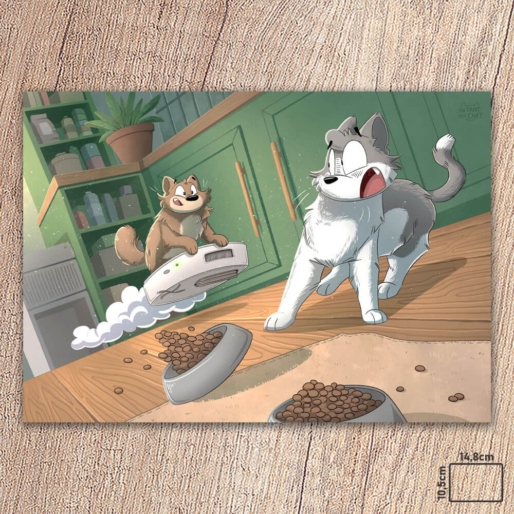 Carte postale - Rodéo