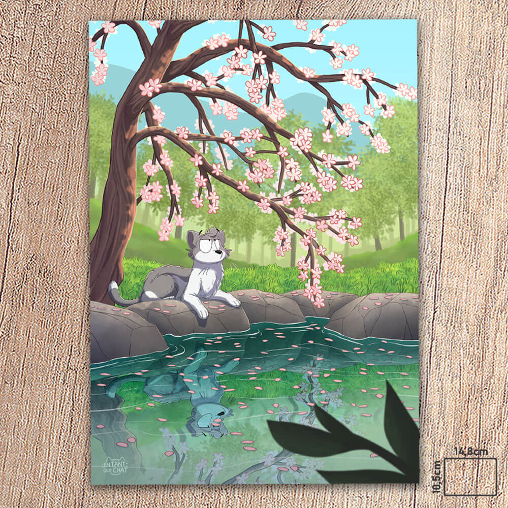 Carte postale - Reflet